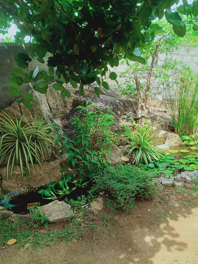 Sidhangana Home Stay Anuradhapura Esterno foto