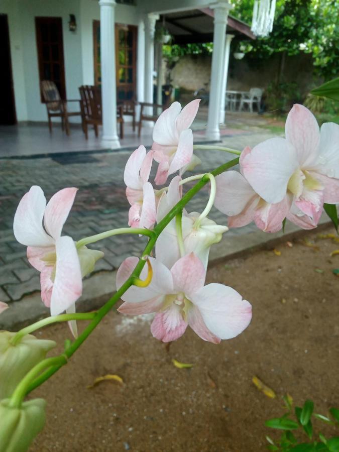 Sidhangana Home Stay Anuradhapura Esterno foto