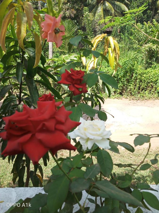 Sidhangana Home Stay Anuradhapura Esterno foto