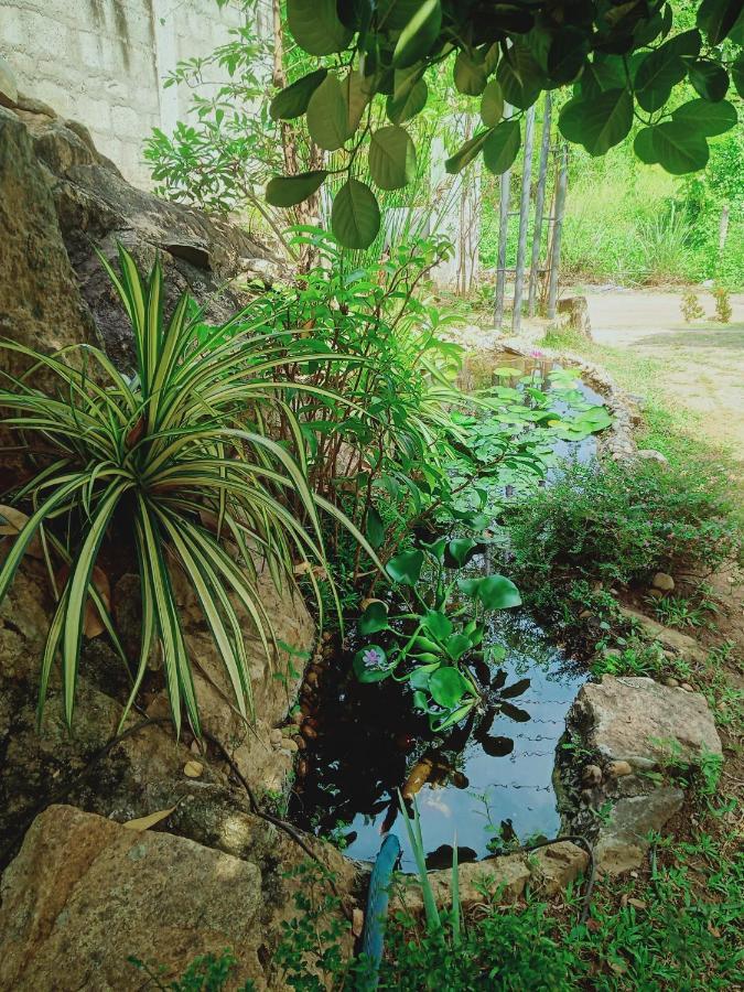 Sidhangana Home Stay Anuradhapura Esterno foto
