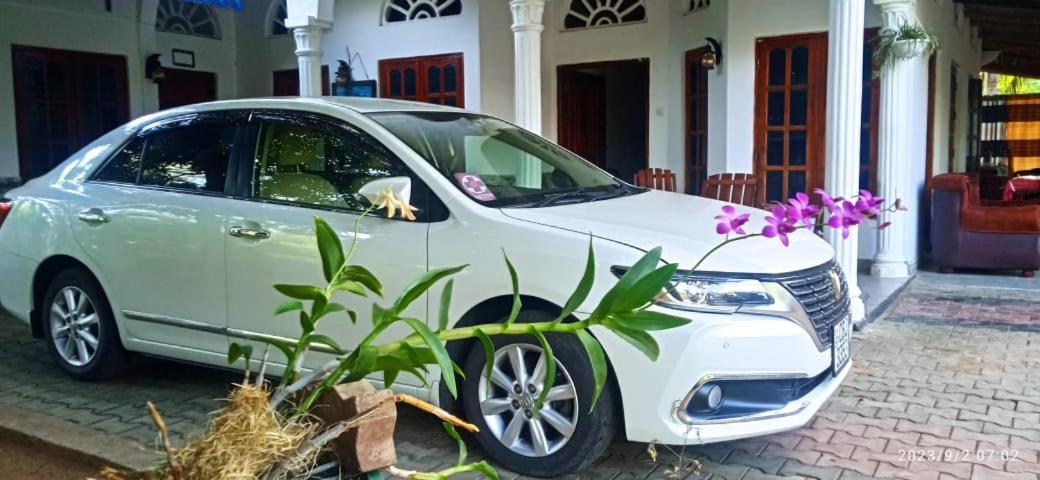 Sidhangana Home Stay Anuradhapura Esterno foto
