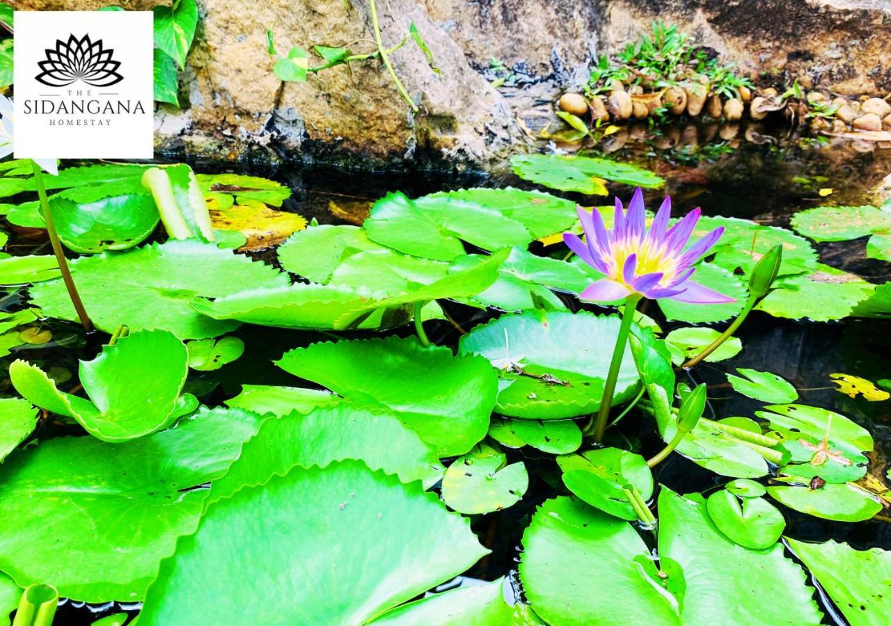 Sidhangana Home Stay Anuradhapura Esterno foto